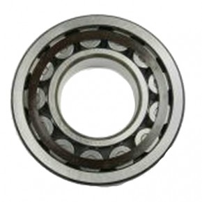 Комплект подшипников Bitzer 38620029