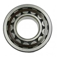 Комплект подшипников Bitzer 38620029