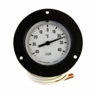 Термометр панельный CPS TM87C60